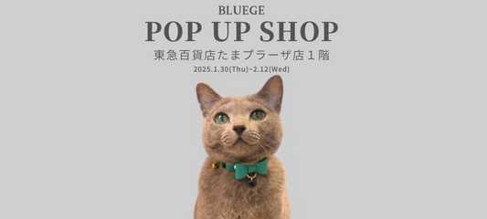 東急百貨店 たまプラーザ店 POP UP出店