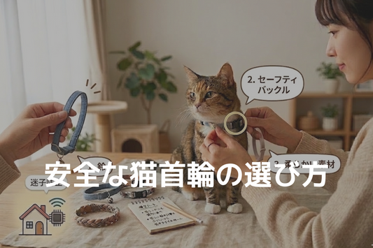安全な猫首輪の選び方｜事故を防ぐセーフティバックルとは
